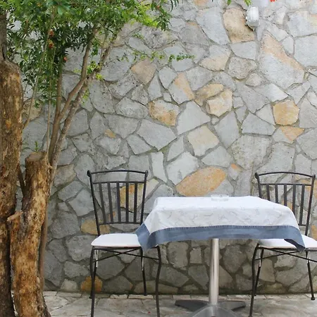 Mito And Guest house