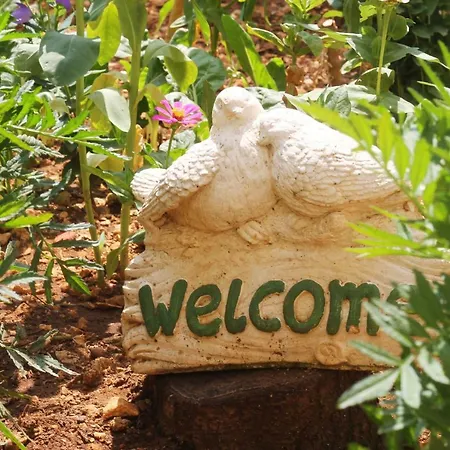 Guest house Mito And
